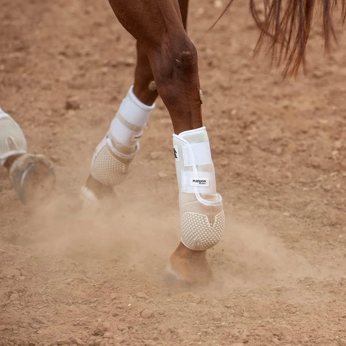 Classic Spruce Hind Splint Boots