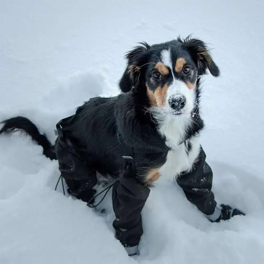 Dog Suspender Booties, 2025 New Dog Paw Boot Leggings Anti-Slip, Canada Pooch Dog Shoes Waterproof, Adjustable Suspender Boots for Dogs Winter Snow Rain Hiking Paws Protector (XL)
