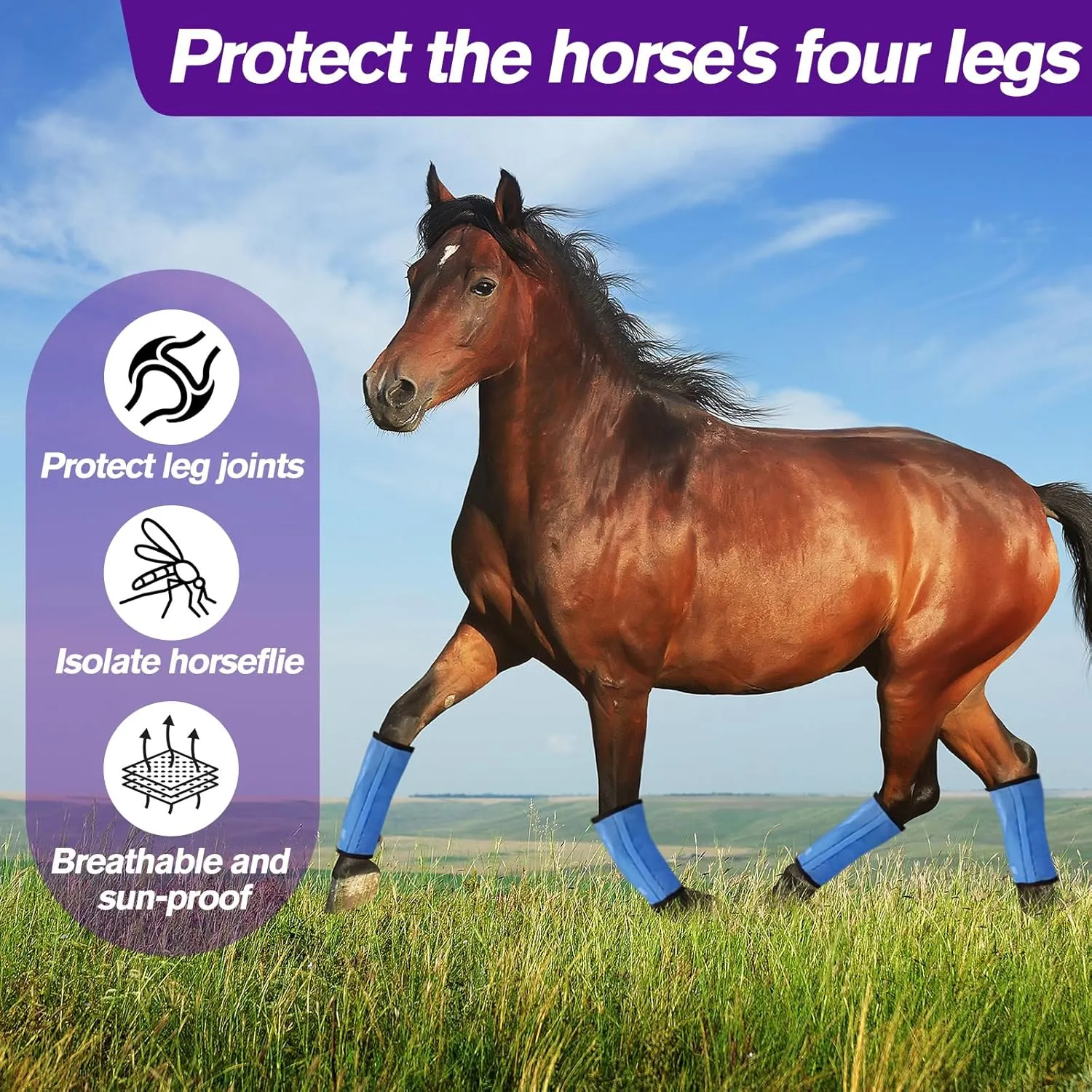 Fly Boots for Horses, Loose Fitting Non Slip Fly Leggings,Horse Fly Boots Set of 4,UV-Protective Breathable Fine Mesh, Stomp Reducing Stay On Design，Protect Horse Legs (Blue)