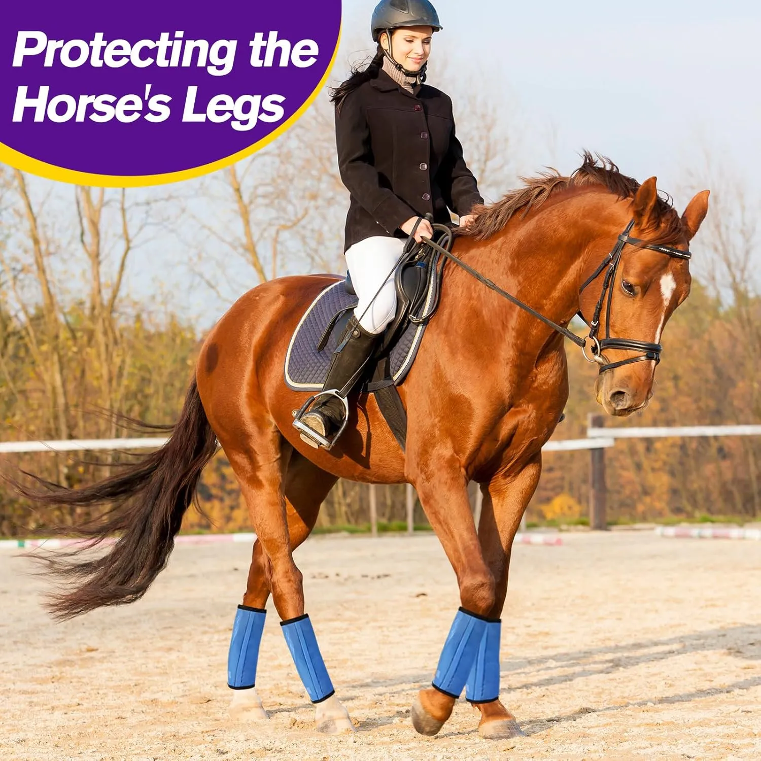 Fly Boots for Horses, Loose Fitting Non Slip Fly Leggings,Horse Fly Boots Set of 4,UV-Protective Breathable Fine Mesh, Stomp Reducing Stay On Design，Protect Horse Legs (Blue)
