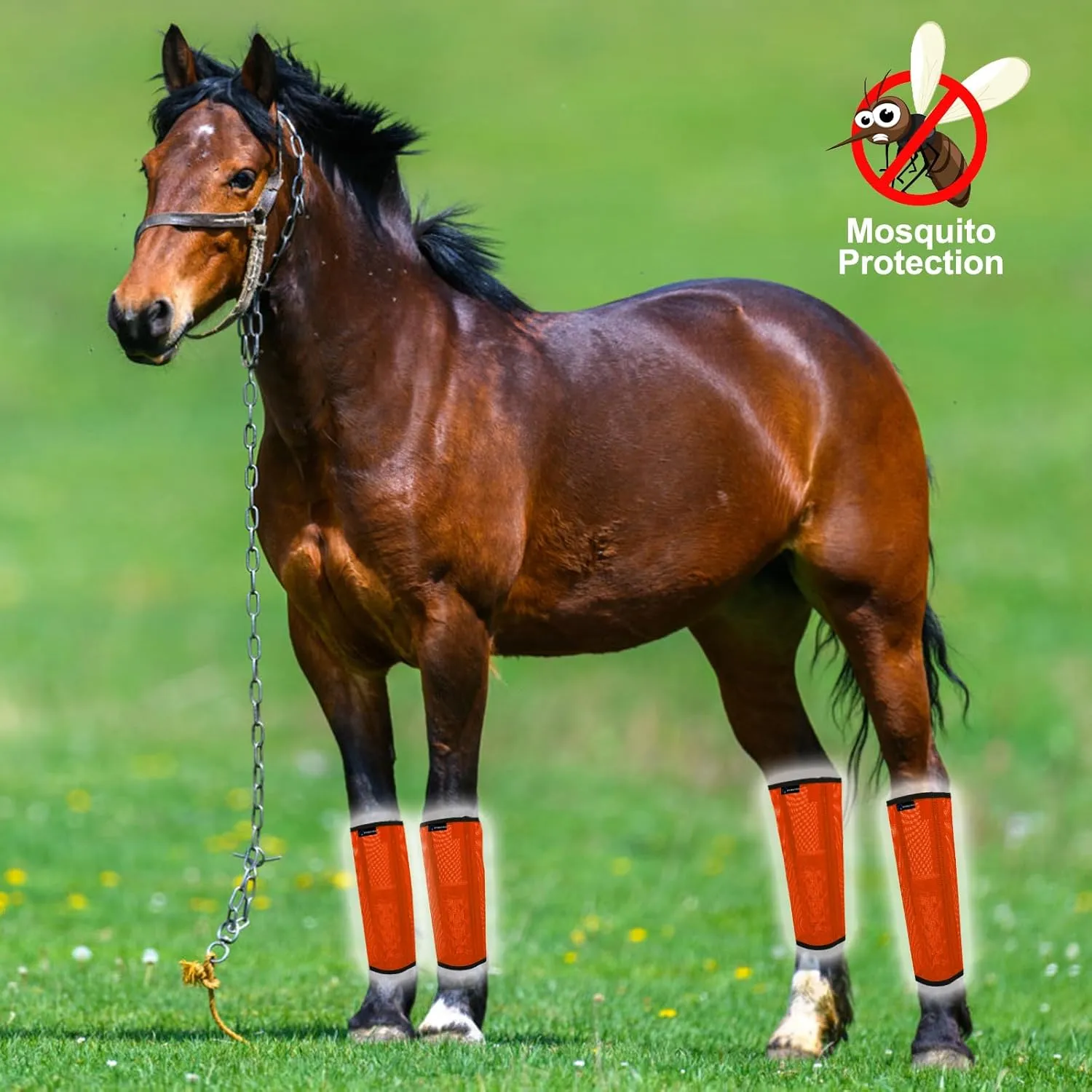 FOXLVDA Horse Fly Boots - Fly Boots for Horses Set of 4, Comfortable Pony Leggings, Mesh Material Design with Metal Support Bars, Equine Boots for Reduces Stomping & Leg Fatigue (Orange, Medium)